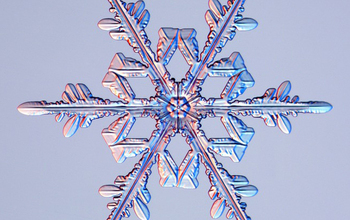 A stellar dendrite snow crystal